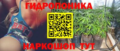 ГАЛЛЮЦИНОГЕННЫЕ ГРИБЫ Вязьма