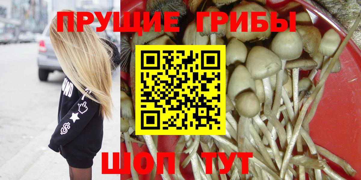 Галлюциногенные грибы Cubensis  Псилоцибиновые грибы прущие грибы  Вход с VPN  Десногорск 